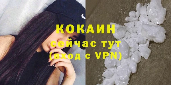 индика Семёнов