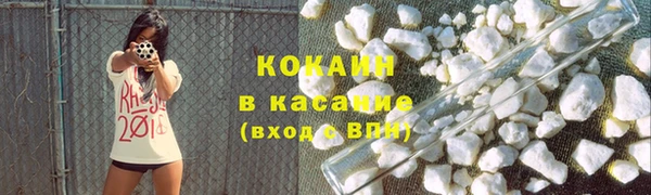 стаф Семилуки