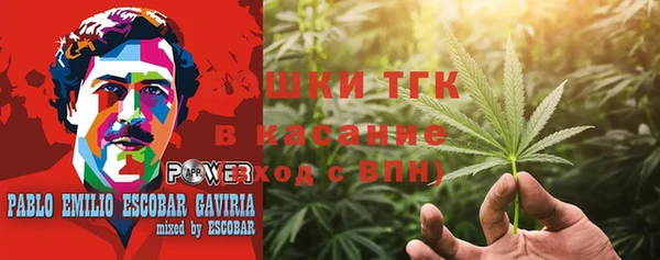 стаф Семилуки