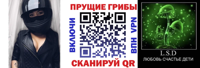 маркетплейс клад Коркино Псилоцибиновые грибы Magic Shrooms